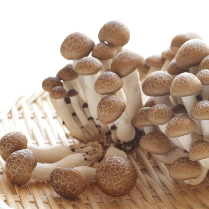 レンジ調理でパパっと簡単！「しめじ」の絶品おつまみレシピ5選 | 4yuuu