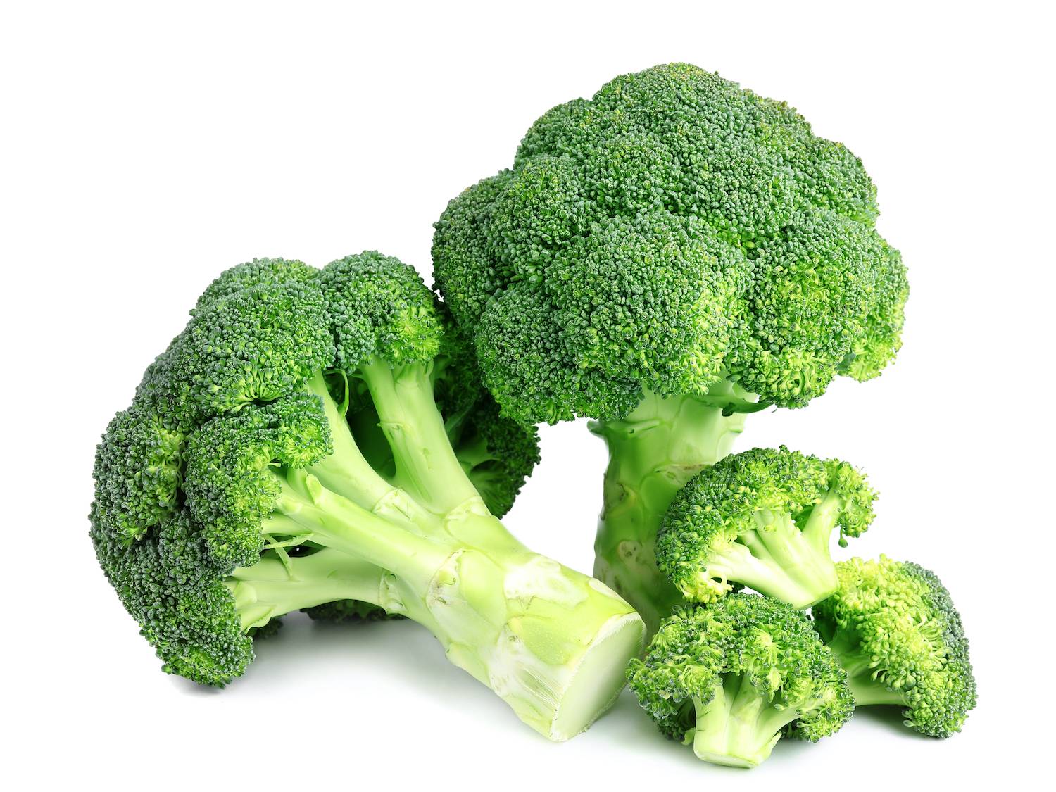 「ブロッコリー」のヤミツキおつまみレシピ5選♡簡単！家飲みにおすすめ！ 4yuuu