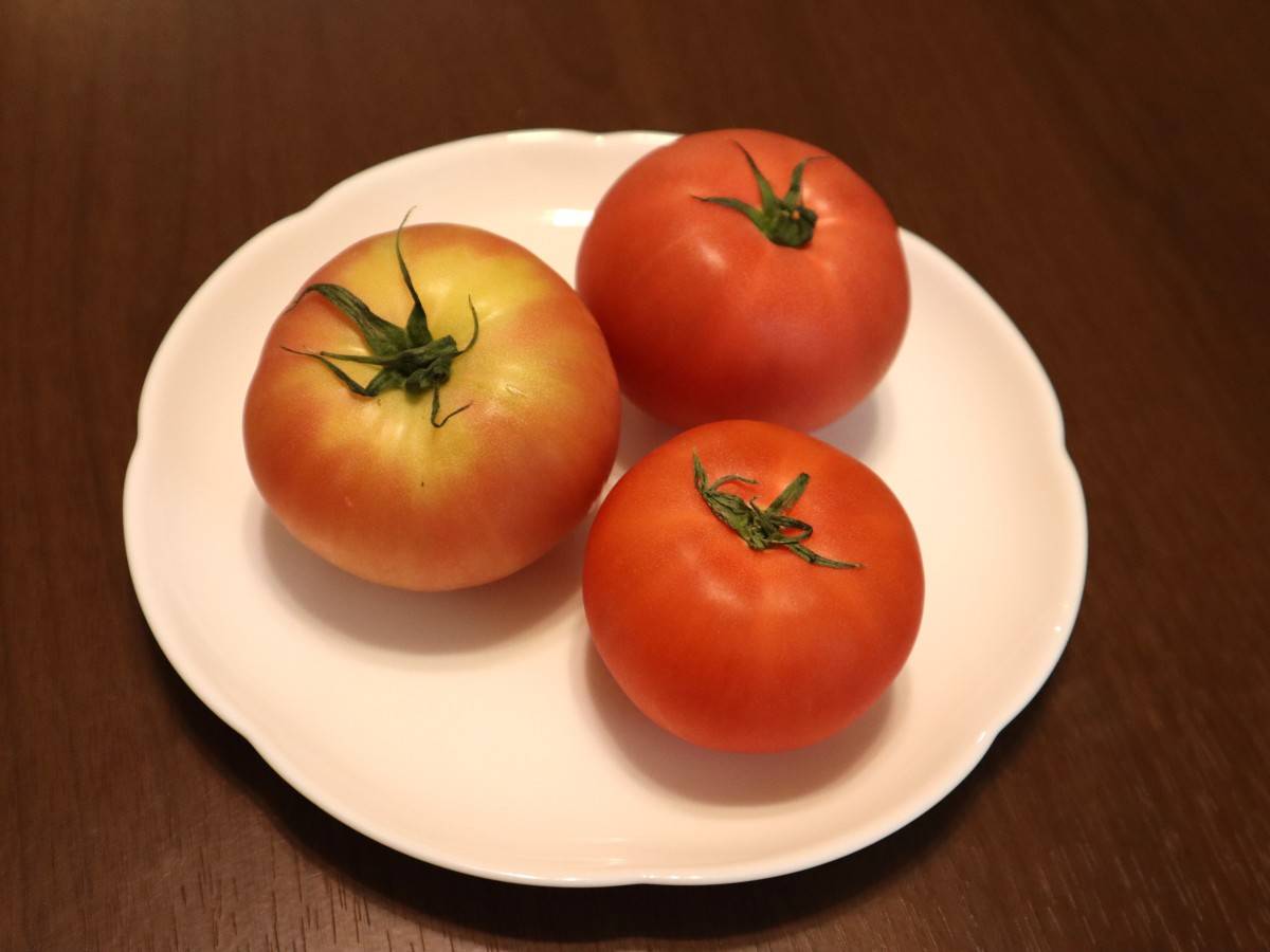 こっそり伝授♡美味しい？買ったら損？トマトの見分け方【プロが解説