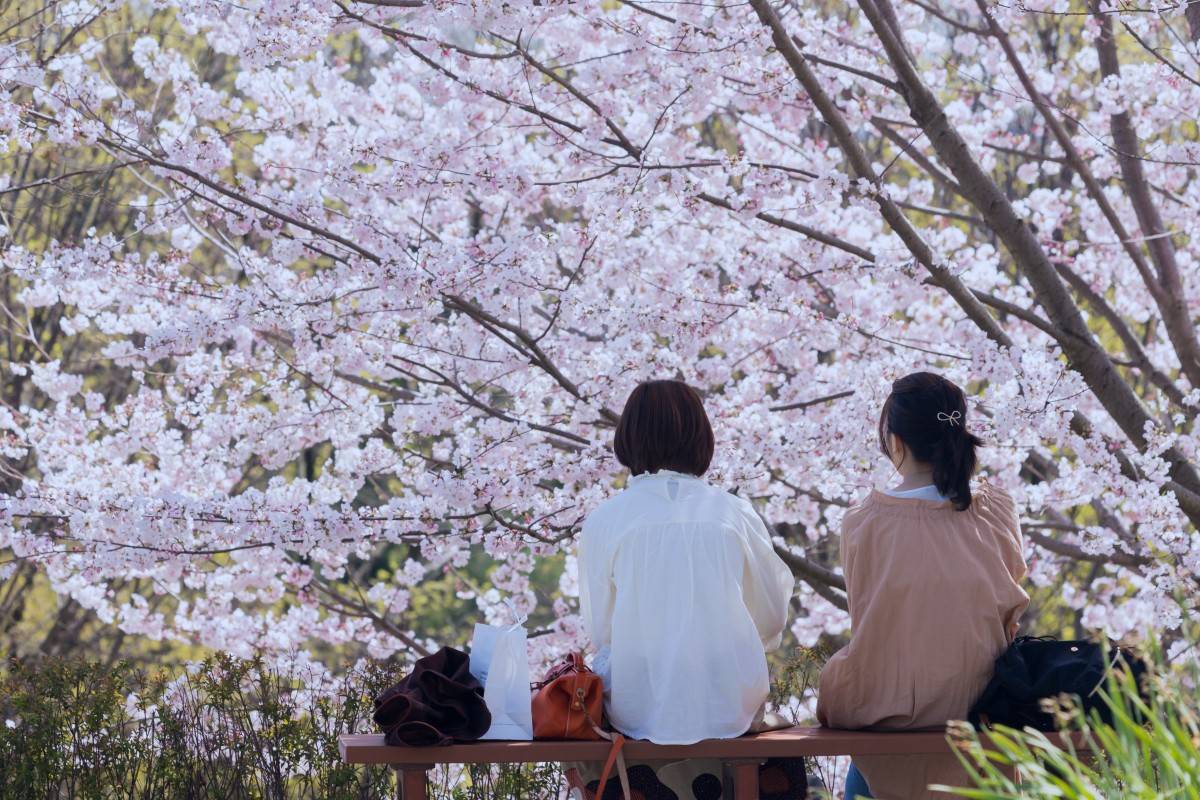 座敷童子ちゃん　お師匠様の幸せ白蝶貝リング❤️ 座敷童子ちゃん お師匠様の御守りリング 【公式通販】
