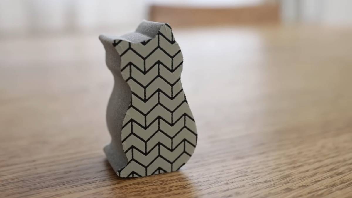 貼りつく鏡のウロコ取り(ネコ)
