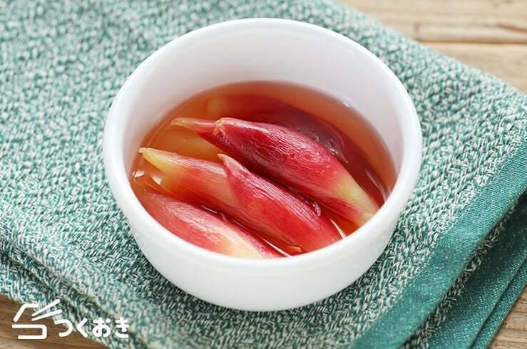 5分でできるみょうがの作り置きおかず