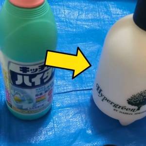 【プロ直伝】お風呂にも「キッチンハイター」！カビを一掃する掃除術