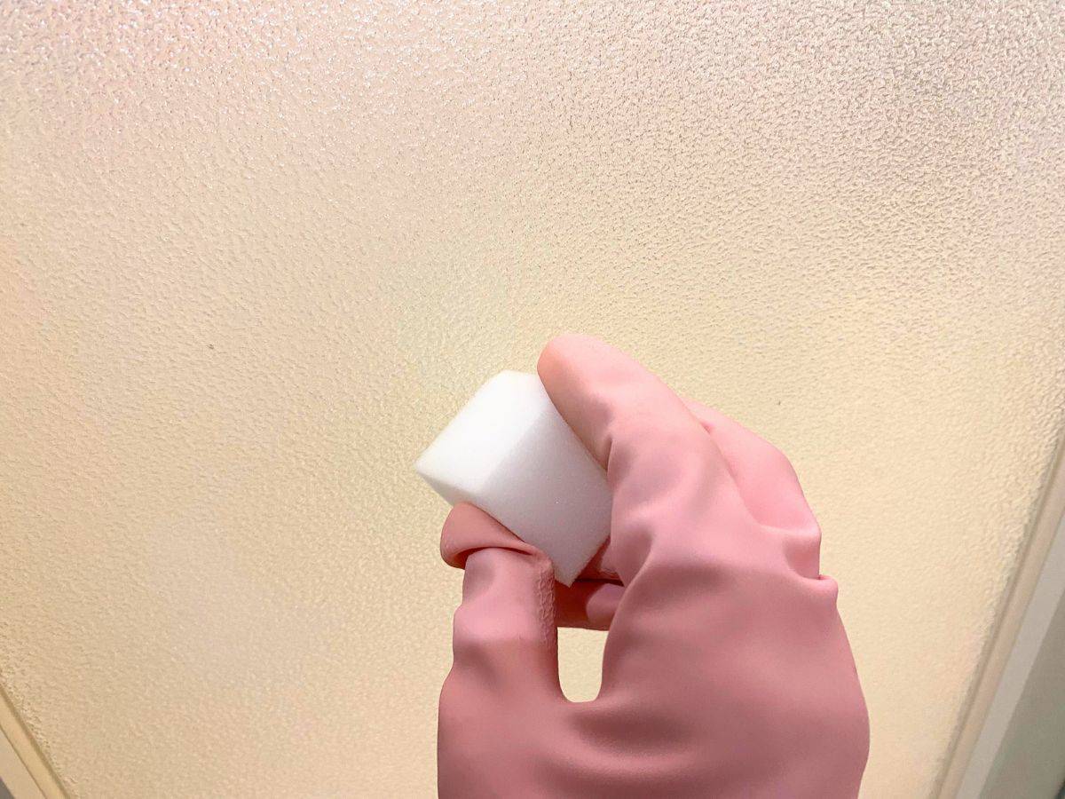 お風呂のドアをピカピカにするお掃除方法【簡単に丸洗いできます！】