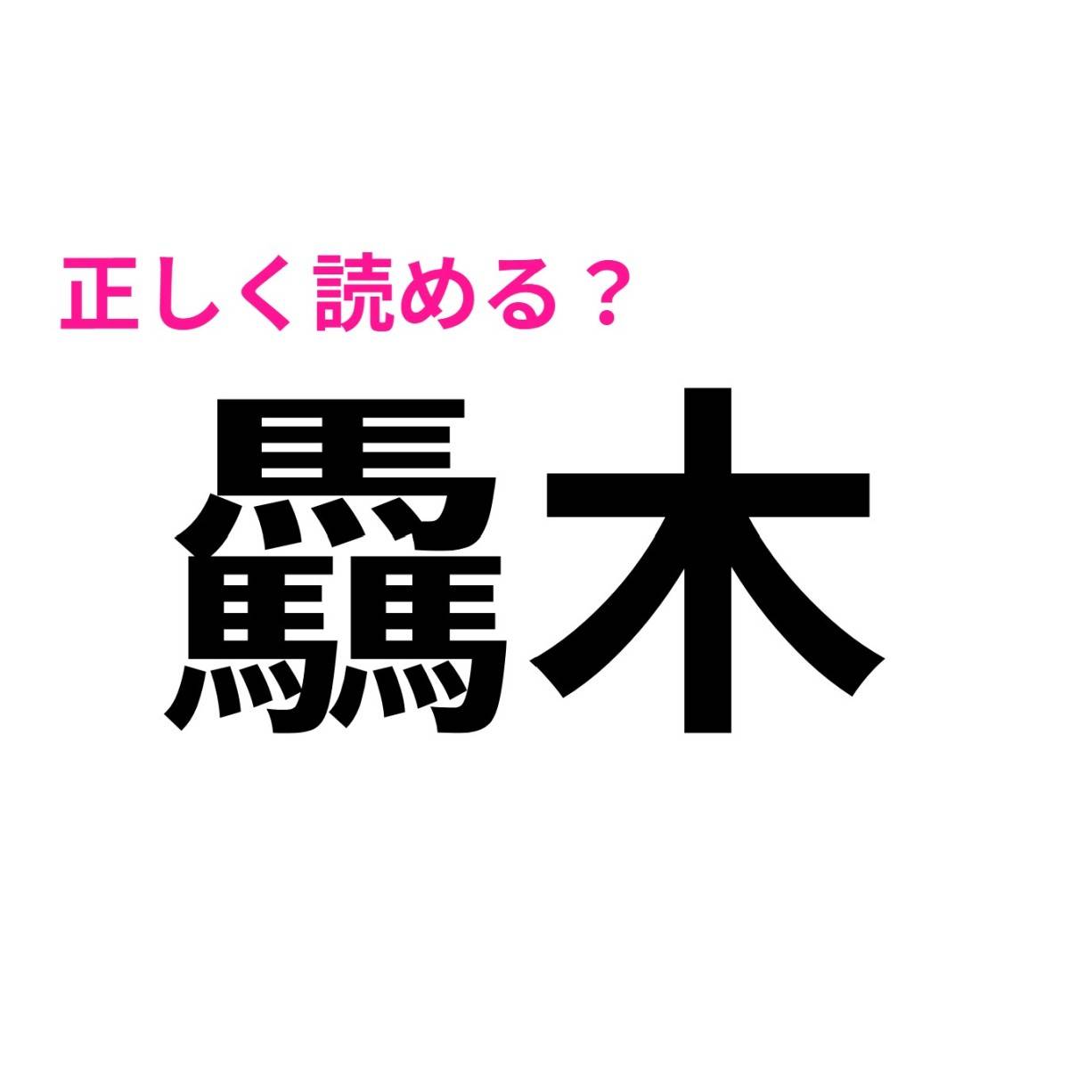 驫木