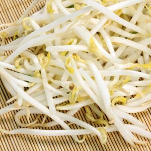 ぶっちゃけ毎日食べてます。茹でて和えるだけの「もやし」の簡単レシピ