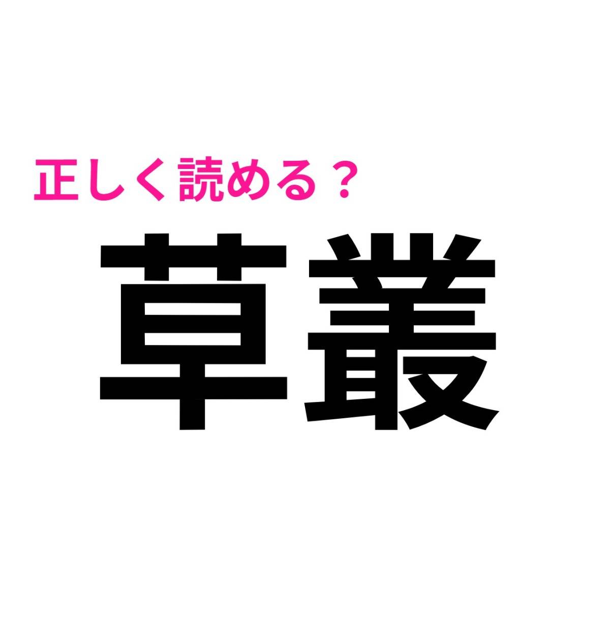 草叢