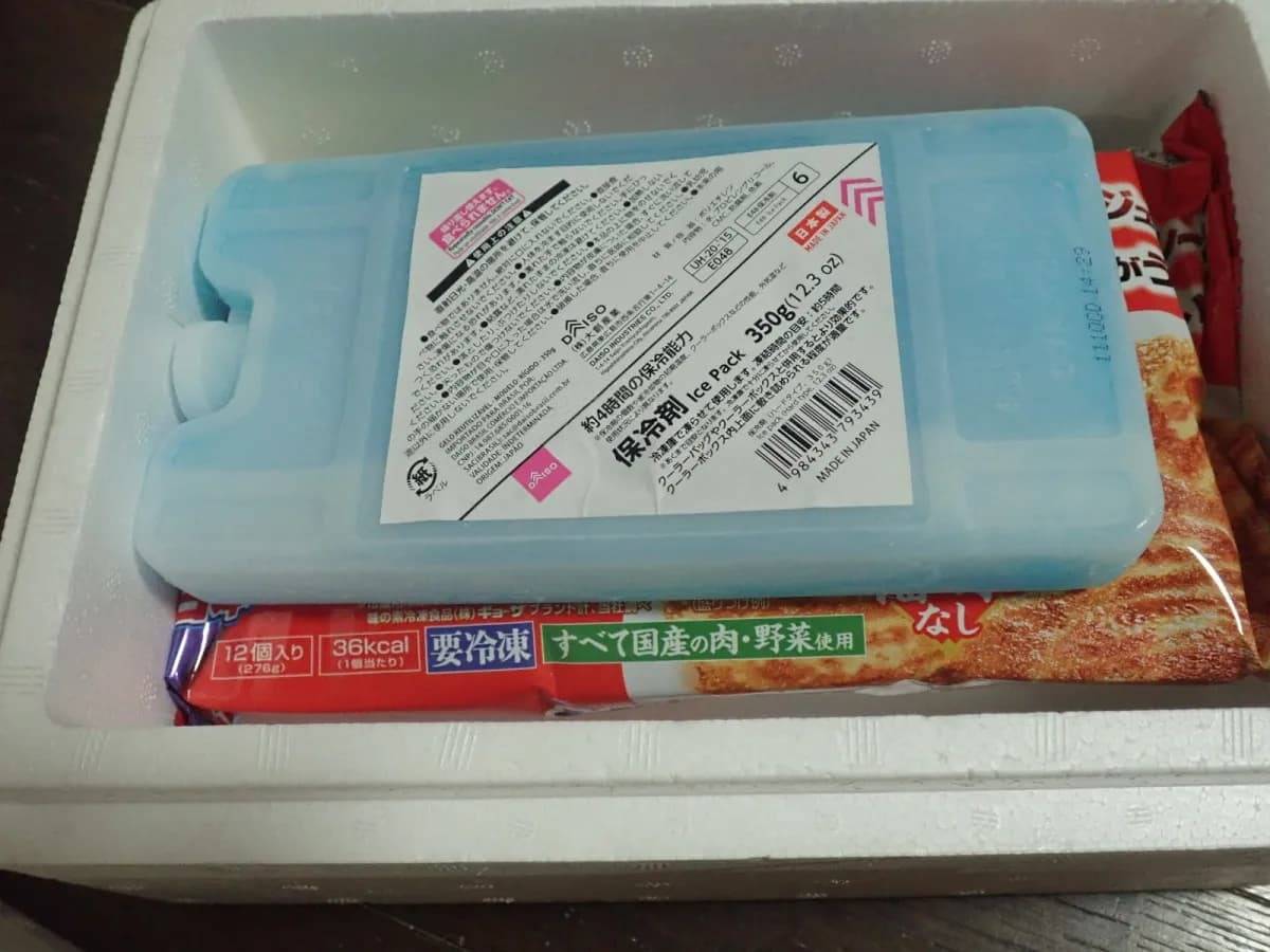 ダイソー保冷剤(ハードタイプ、500g)−３