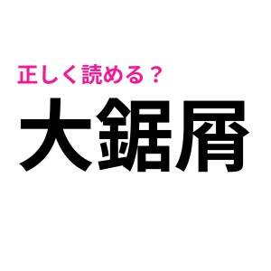  大鋸屑 