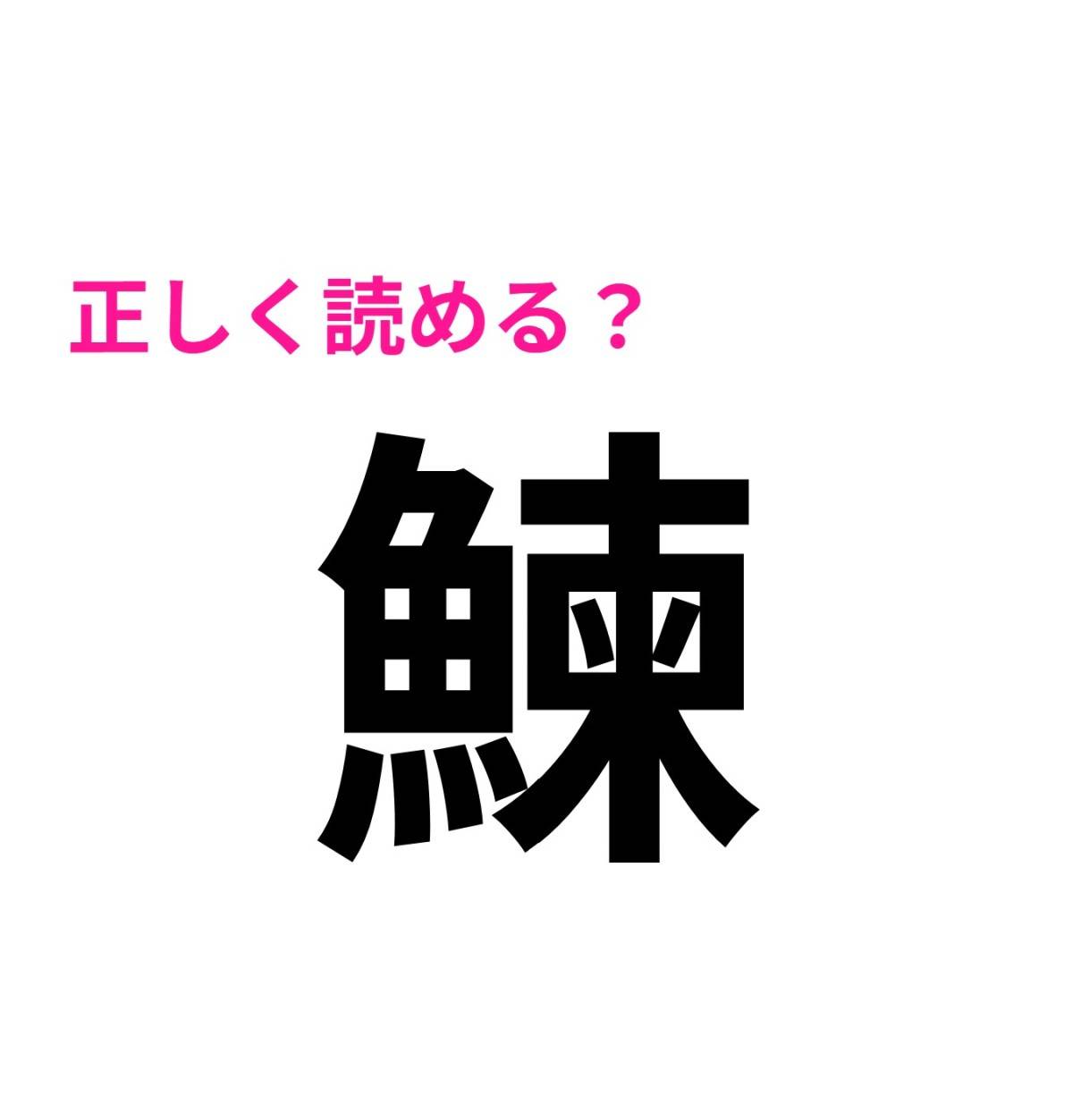 鰊