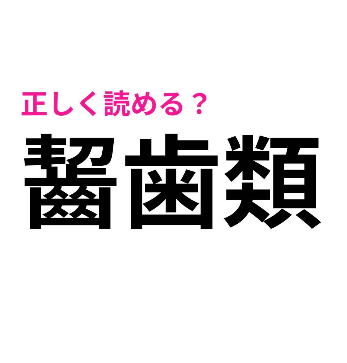 齧歯類