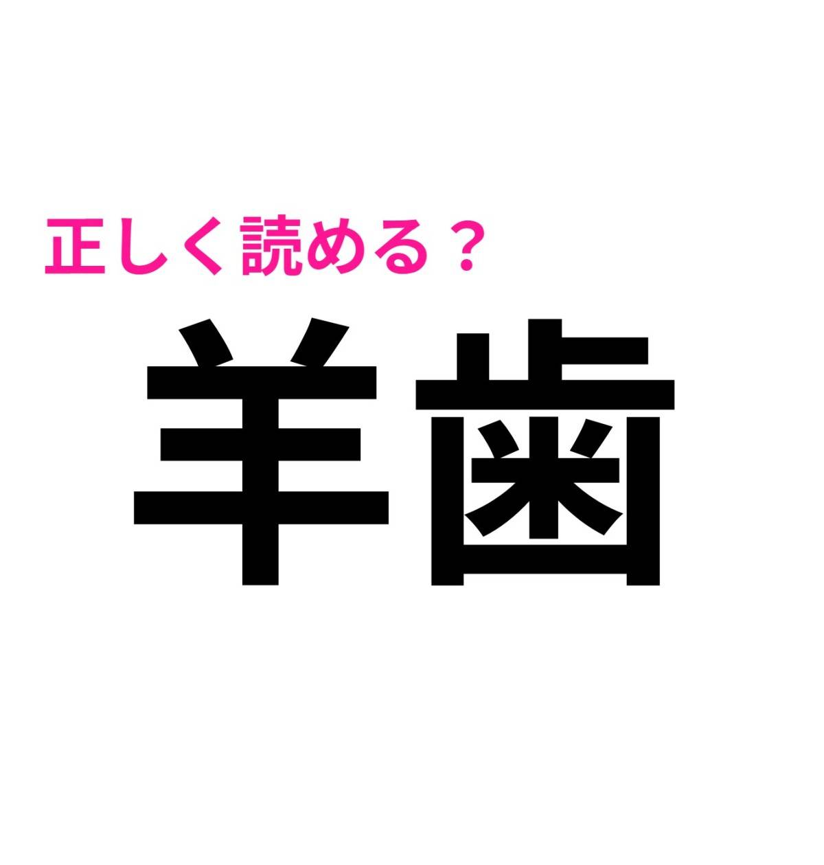 羊歯