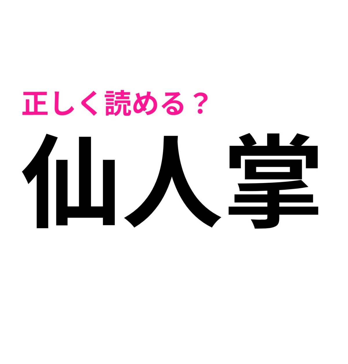 仙人掌