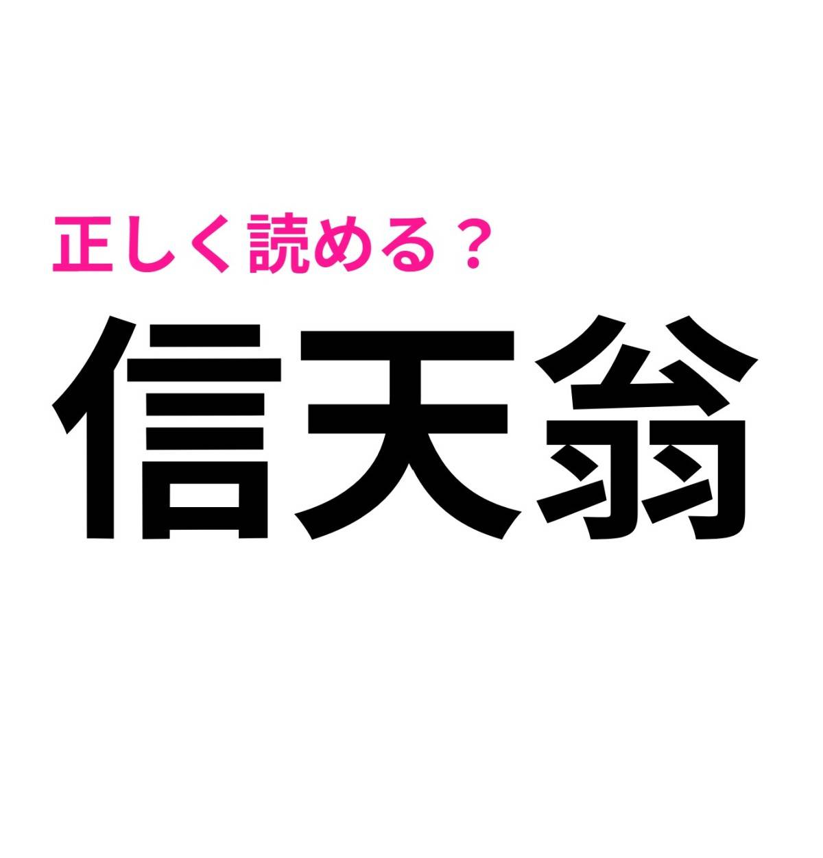 信天翁