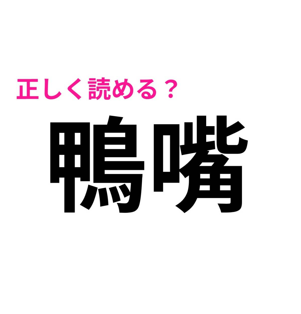 鴨嘴