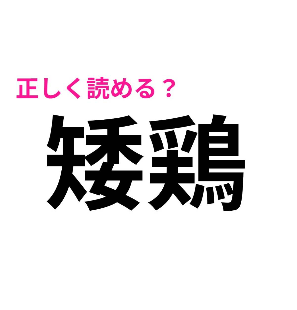 矮鶏