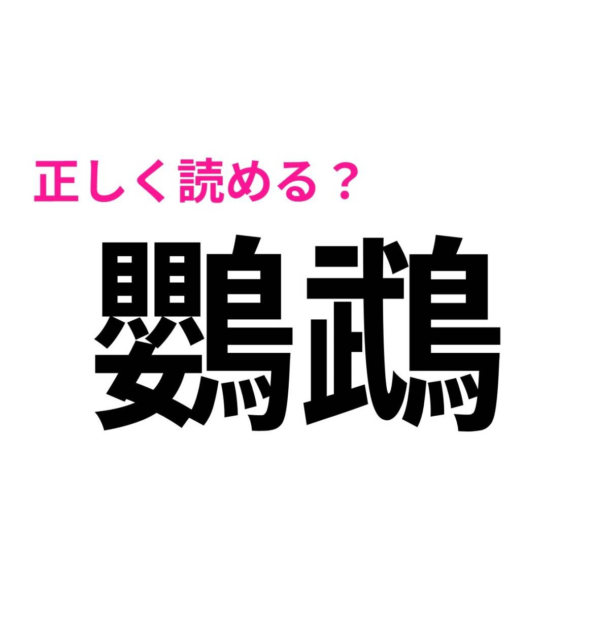 鸚鵡