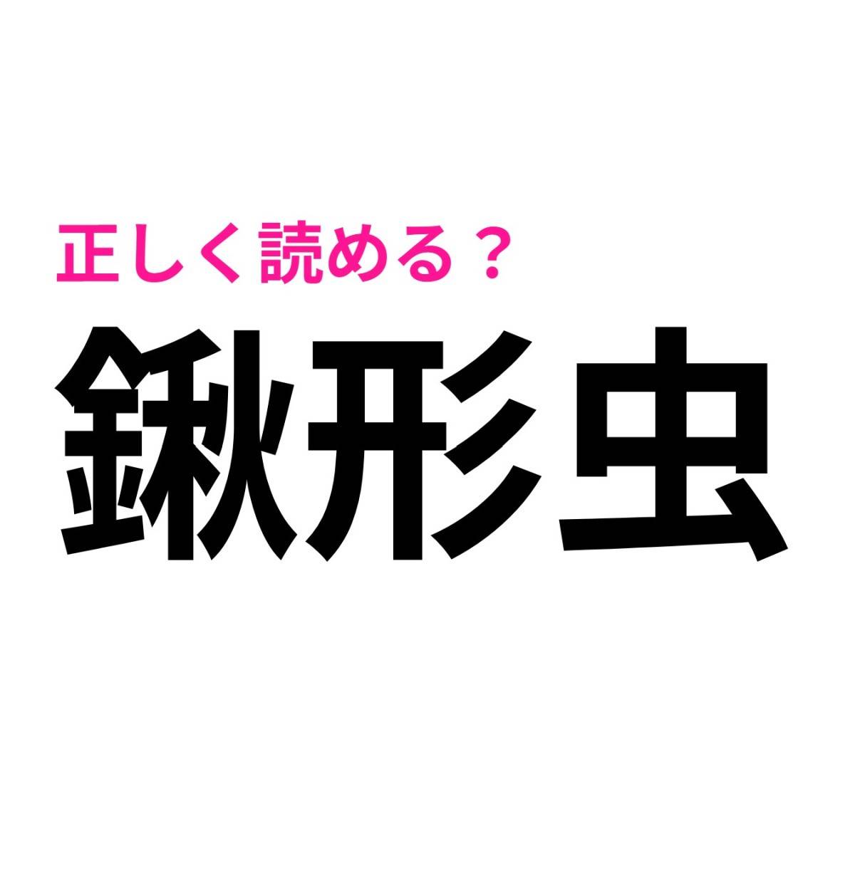 鍬形虫