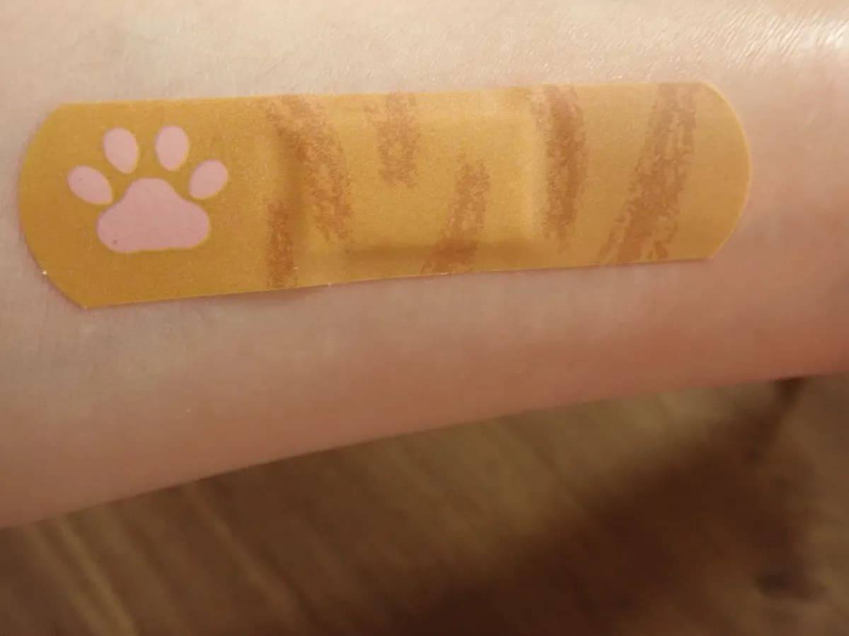 ダイソー救急！！キズテープ(肉球ねこ、12枚入)−３