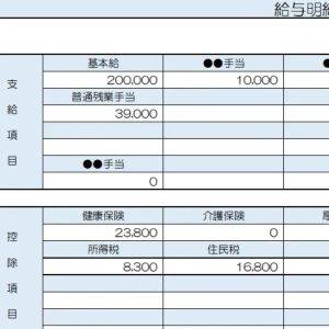【リアル給与明細】31歳、不動産営業。毎月の支払いが重い……。収支を見直したいです【FPが解説】