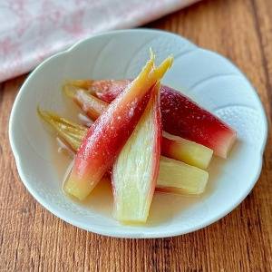 すぐマネできる絶品おかず♪「みょうが」の瞬殺作り置きレシピリスト