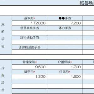 【リアル給与明細】45歳、嘱託職員。6人家族です。老後は暮らせないのではと不安……【FPが解説】