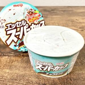  明治の「明治 エッセル スーパーカップ チョコミント」 