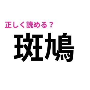 さすがに読めた方がいいよね……(焦)意外と難しくて泣けてくる漢字9選