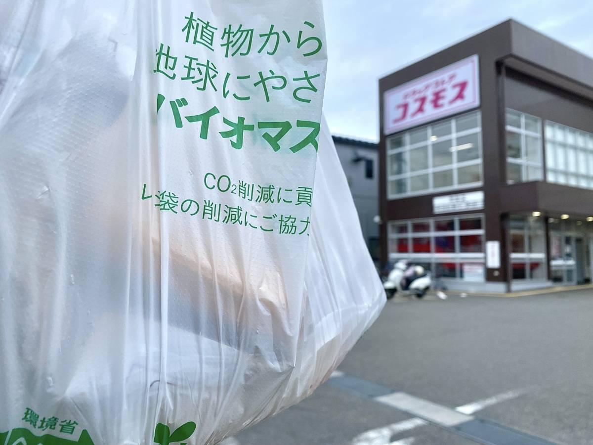 コスモスの夏にもってこいな大人気商品！