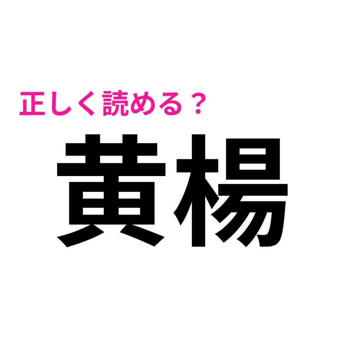黄楊