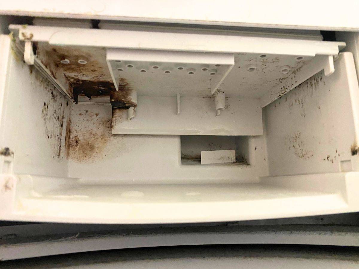 ここを綺麗にしておかないと【洗剤】【柔軟剤】の効果が無くなる！？