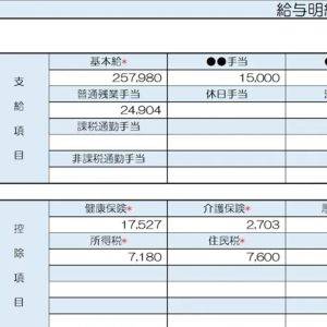  46歳、ケアマネジャーの給与明細 