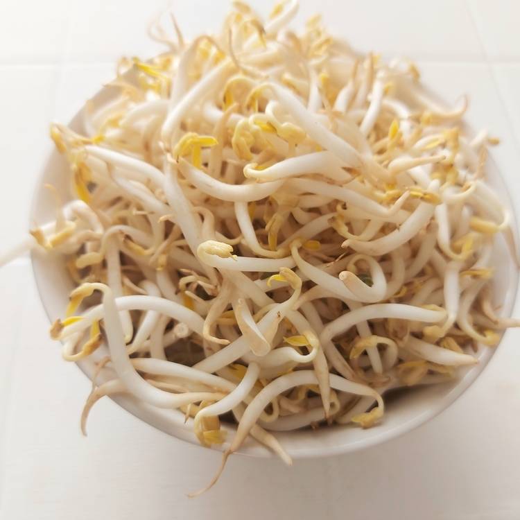 もやし
