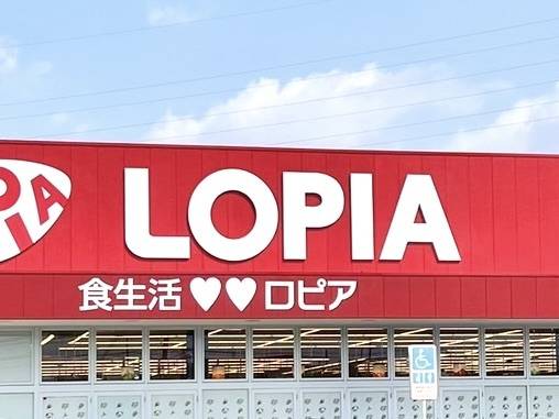 普段の食卓でもパーティーでも大活躍のロピアのお惣菜