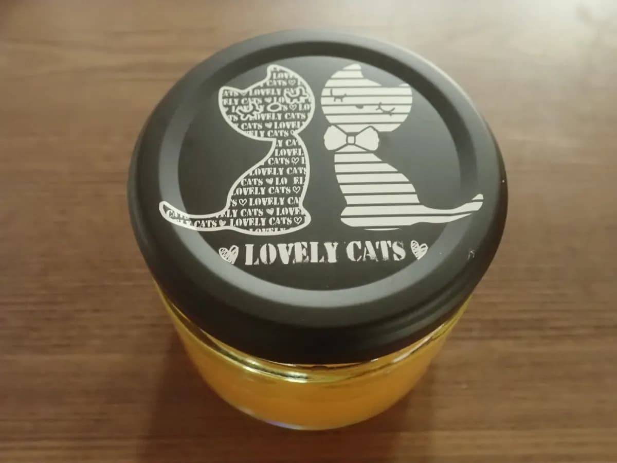 ダイソーツイストキャップ(ネコ、黒・灰、150mL)−３