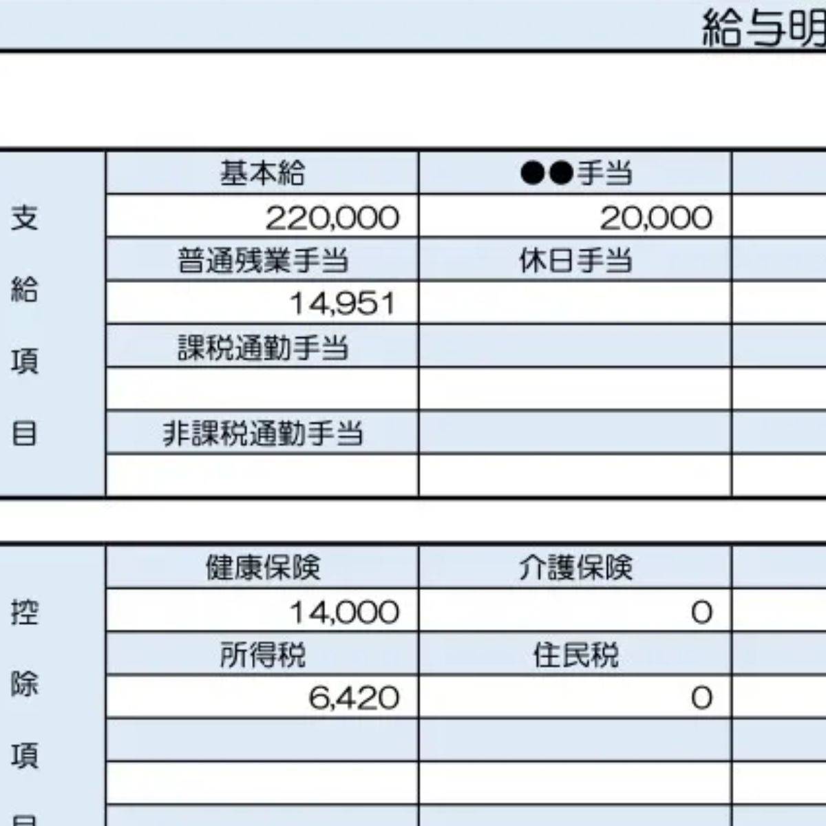 24歳、プロジェクトマネージャーの給与明細