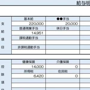  24歳、プロジェクトマネージャーの給与明細 