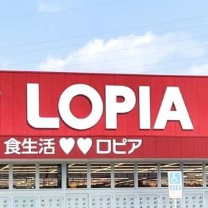 本気でレベル高いよ。【ロピア】の大人気商品が腰を抜かすほどウマい