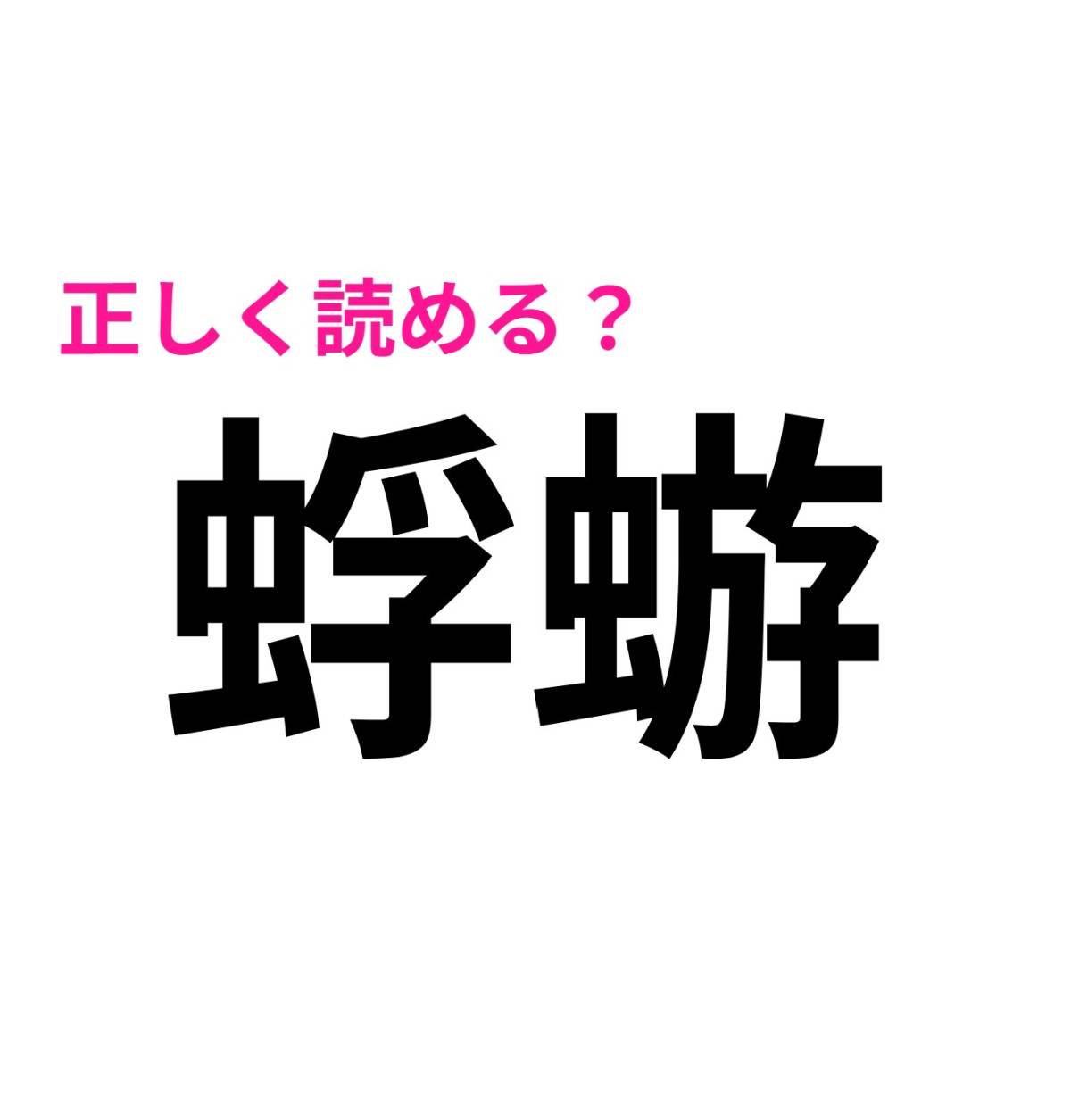 蜉蝣