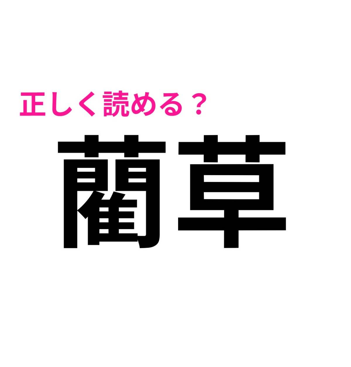 藺草
