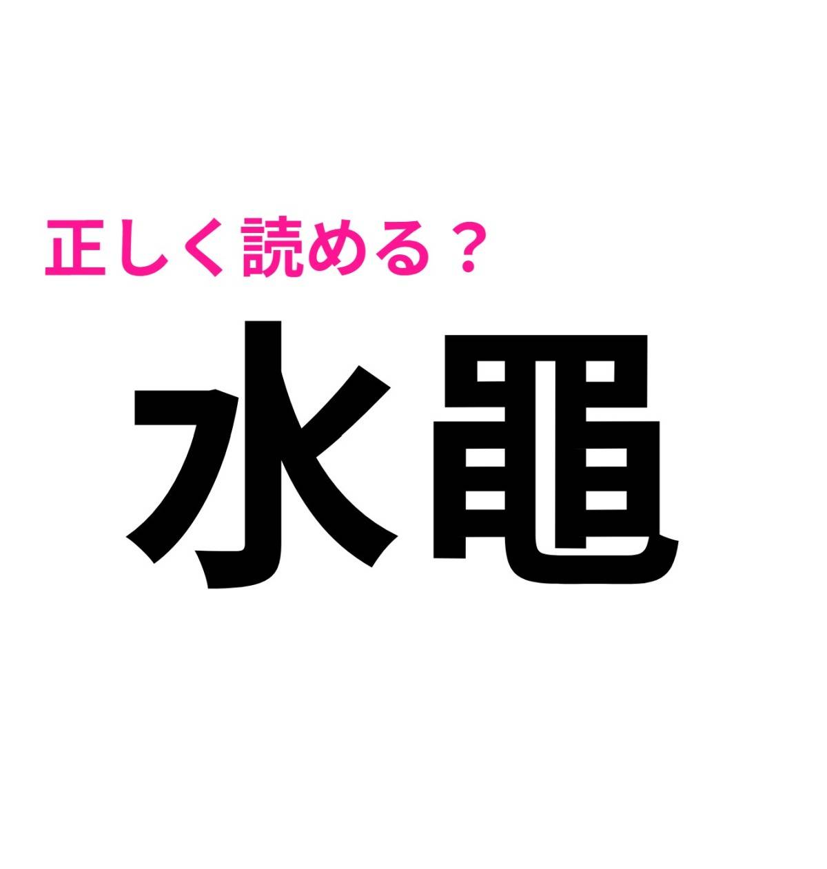 水黽