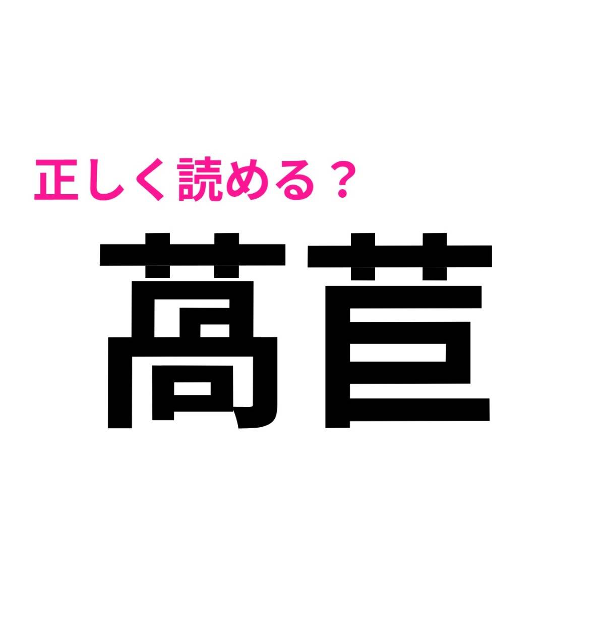 萵苣