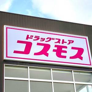 はい、大大大優勝。【コスモス】の大人気商品がとんでもない旨さだった