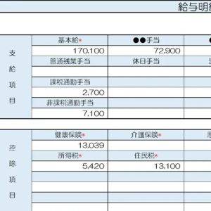【リアル給与明細】製造業の男性。転職直後でボーナスが少ない……。お金を増やしたいです【FPが解説】