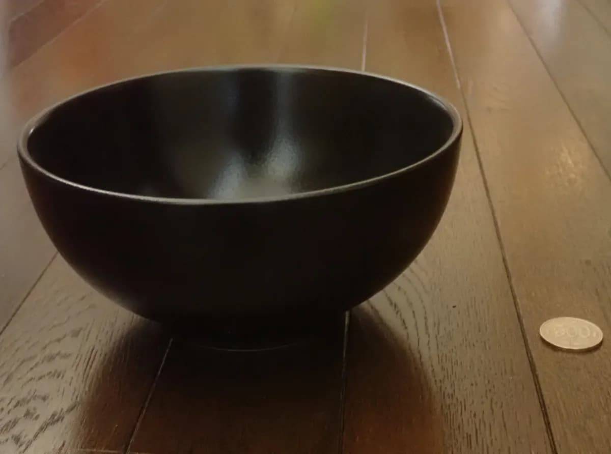 ダイソー丼(黒梨釉、約18cm)−２