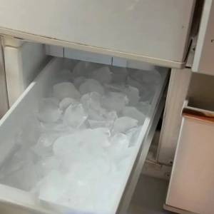 【プロ直伝】夏に欠かせない！冷蔵庫の製氷機の丸洗い方法と便利アイテム