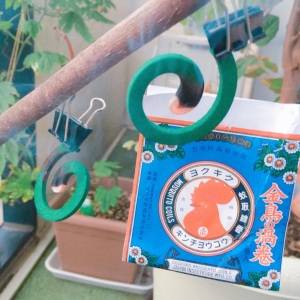 【裏ワザ】水を吹きかけるだけ！蚊取り線香を長持ちさせる方法を試してみた