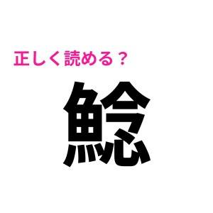  鯰 