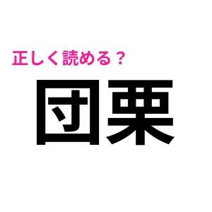  団栗 