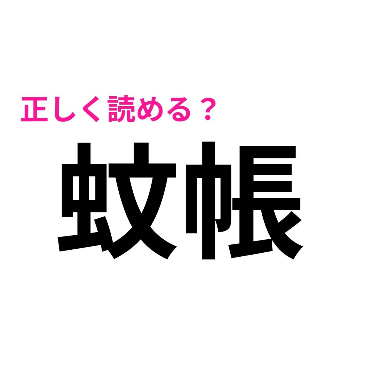 蚊帳